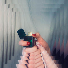 Load image into Gallery viewer, tortoiseshell lighter